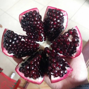ʯ